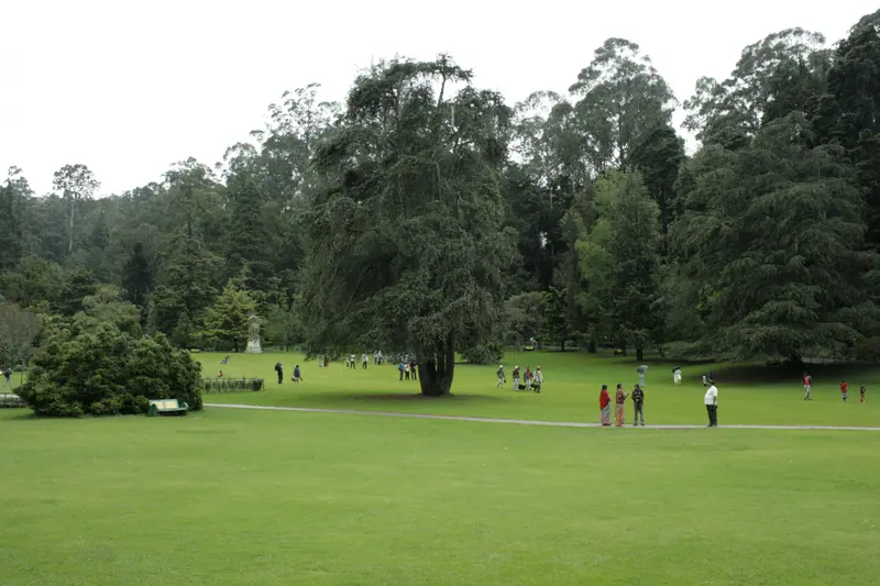 Ooty Coonoor